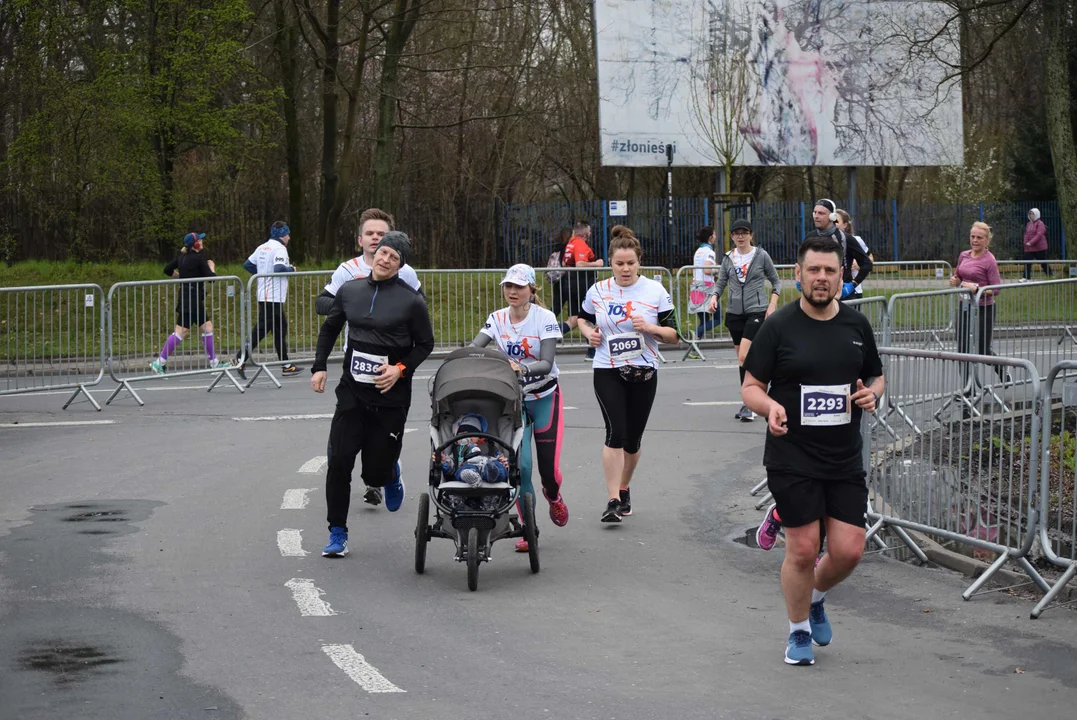 DOZ Maraton ulicami miasta. Zobacz zdjęcia z biegu głównego