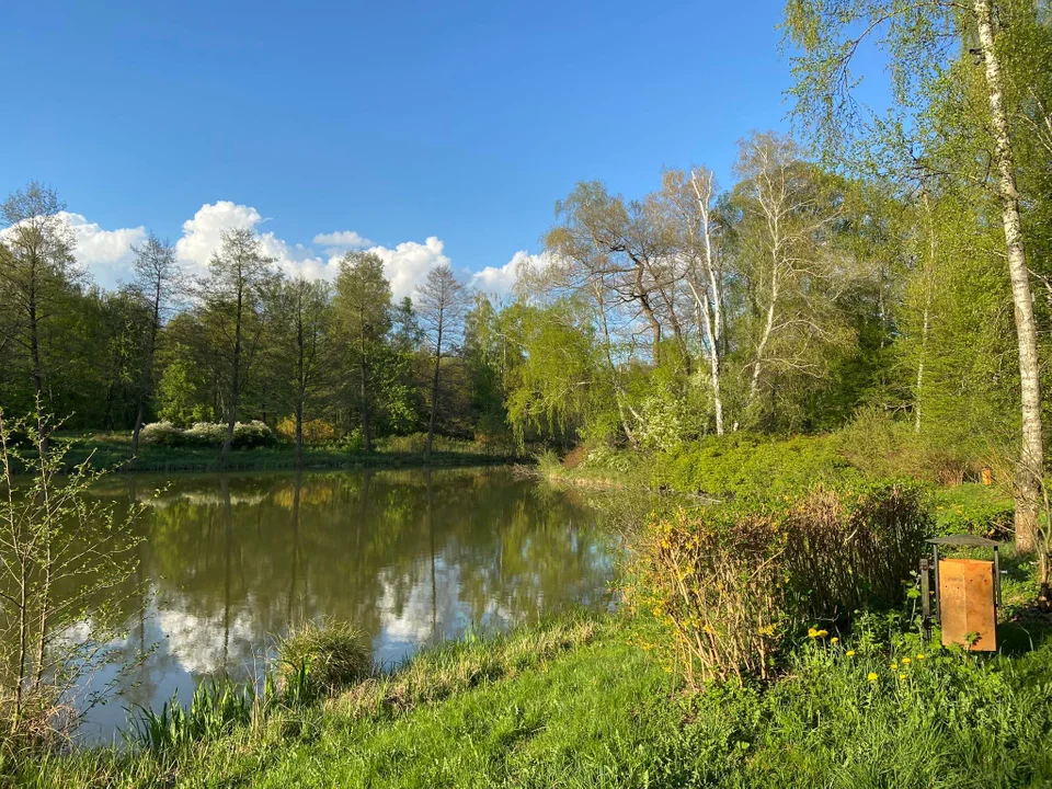 Sokolniki-Las to piękna miejscowość. Zobaczcie galerię zdjęć mieszkańców