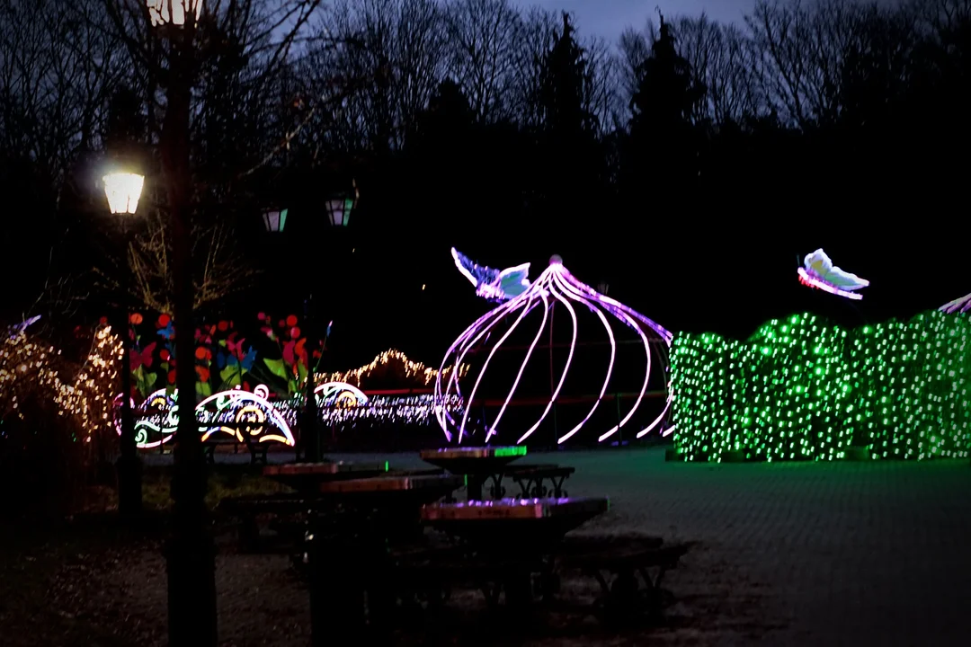 Park Miliona Świateł