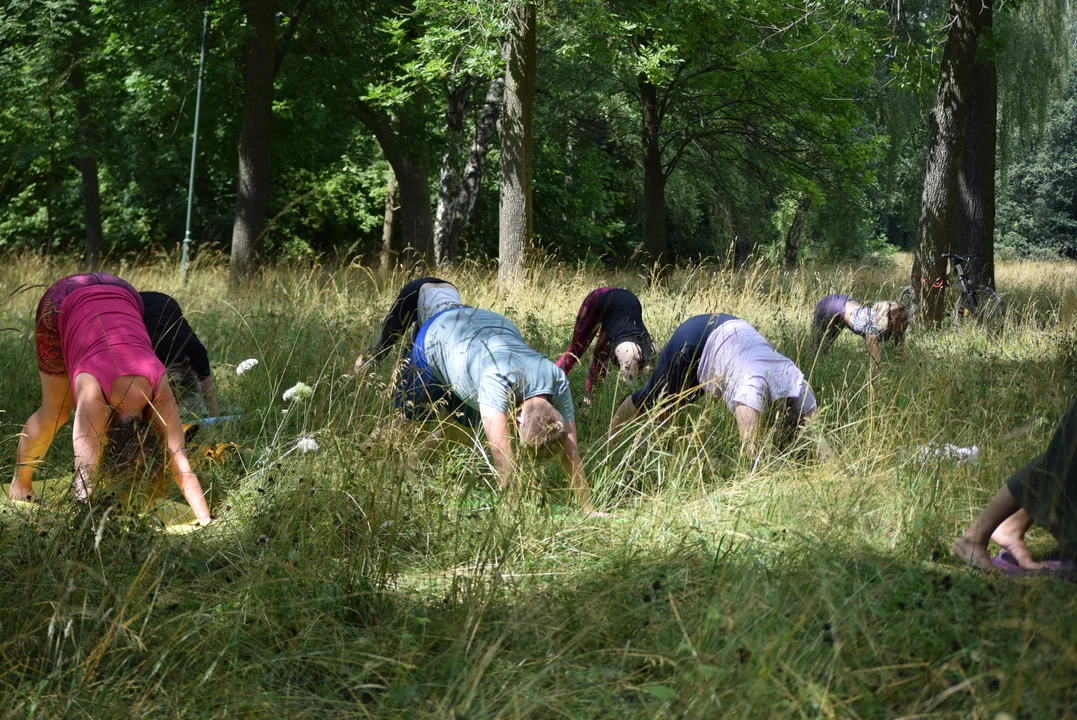 Joga w parku na Zdrowiu