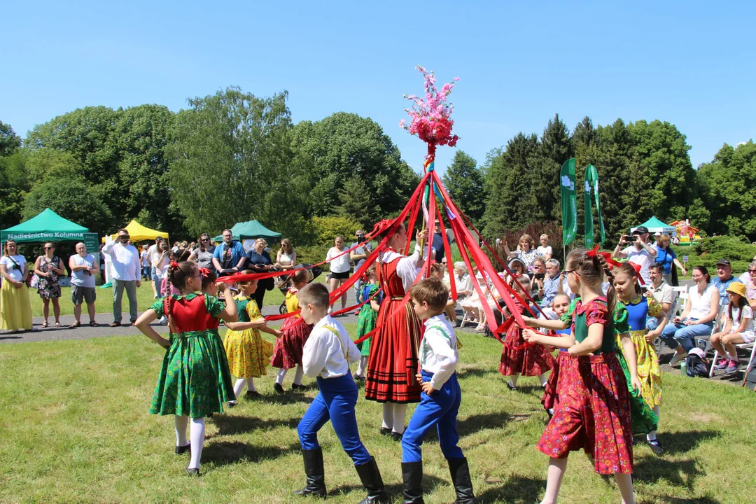 "Majówka w ogrodzie" - Ogród Botaniczny w Łodzi zaprasza na piknik rodzinny