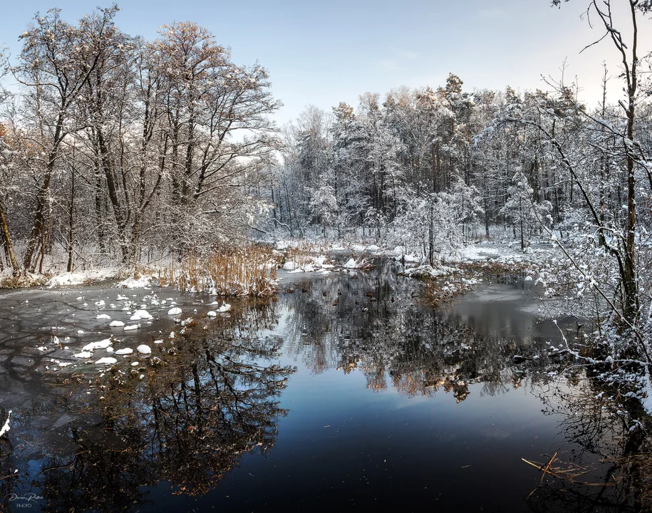 Wernisaż wystawy fotografii Damiana Redlickiego. Zdjęcia zapierają dech w piersiach [galeria]