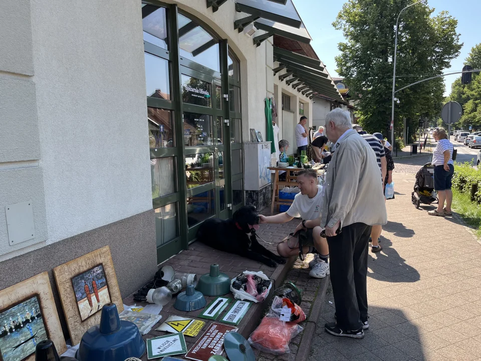 Pchli targ w gdańskiej Oliwie