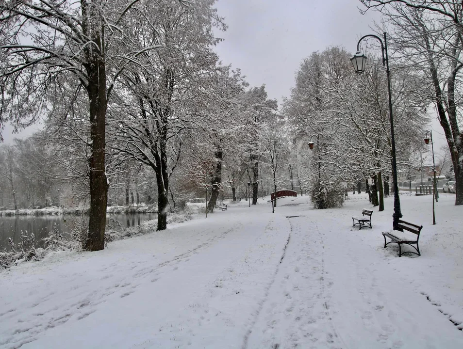 Śnieżna galeria ze Zgierza i Sokolnik-Lasu