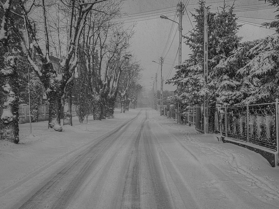 Fotogaleria mieszkańców Zgierza