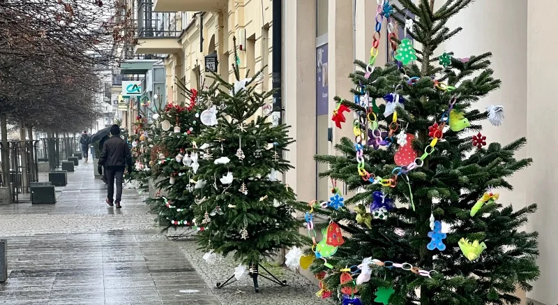 Kolorowe choinki na starówce. Ozdobiły je dzieci - Zdjęcie główne