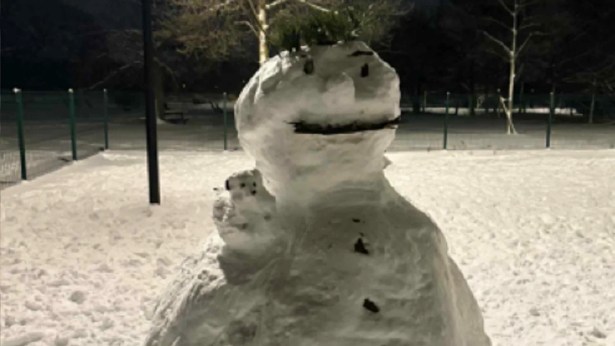 Mieszkańcy Gdańska korzystają z zimy - Zdjęcie główne