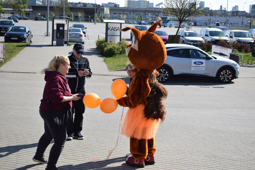 Piknik podczas DOZ Maraton Łódź 2024