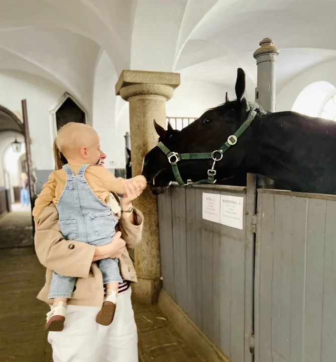 Staś z Tuli Luli ma nową rodzinę