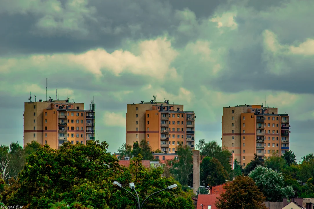 Fotogaleria mieszkańców Zgierza