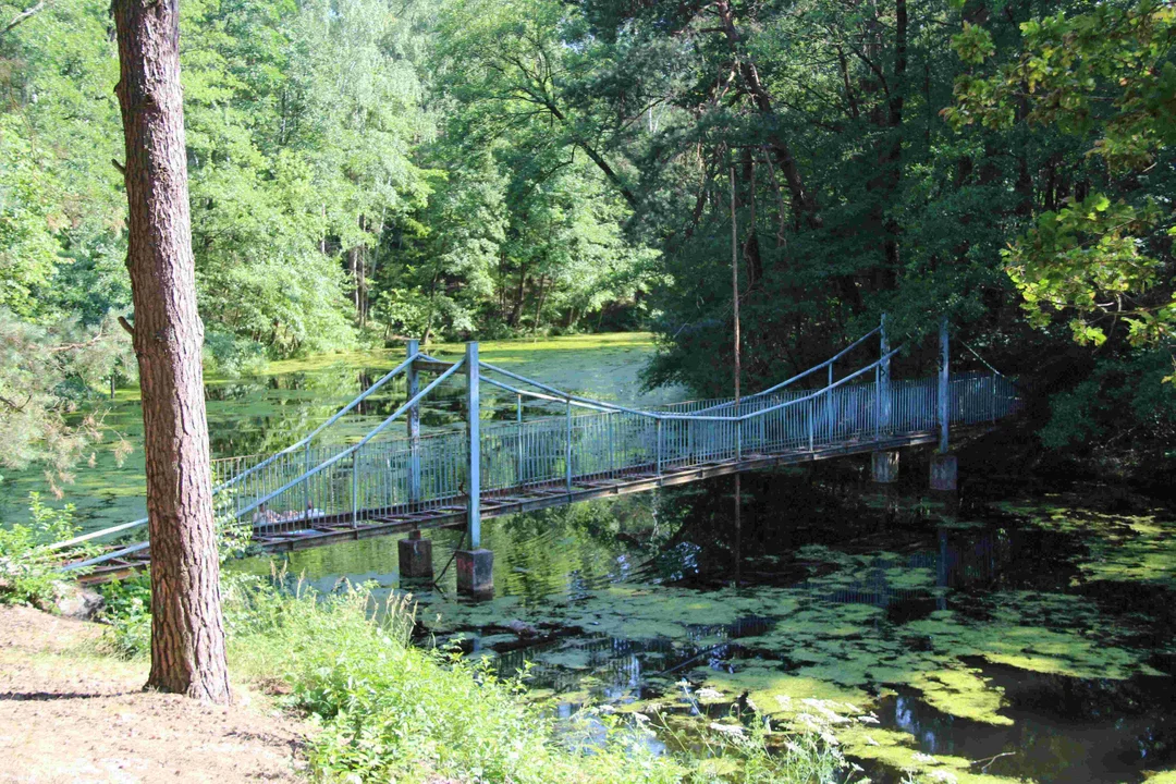 Zielone tereny w Grotnikach