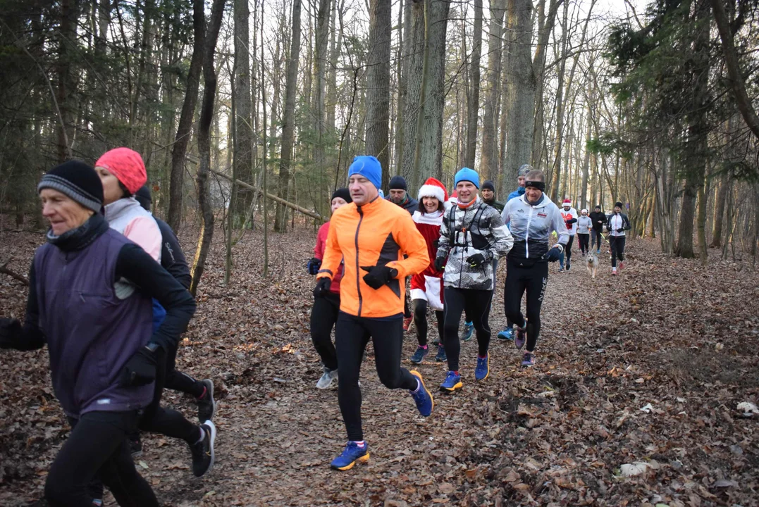 Parkrun w Lesie Łagiewnickim