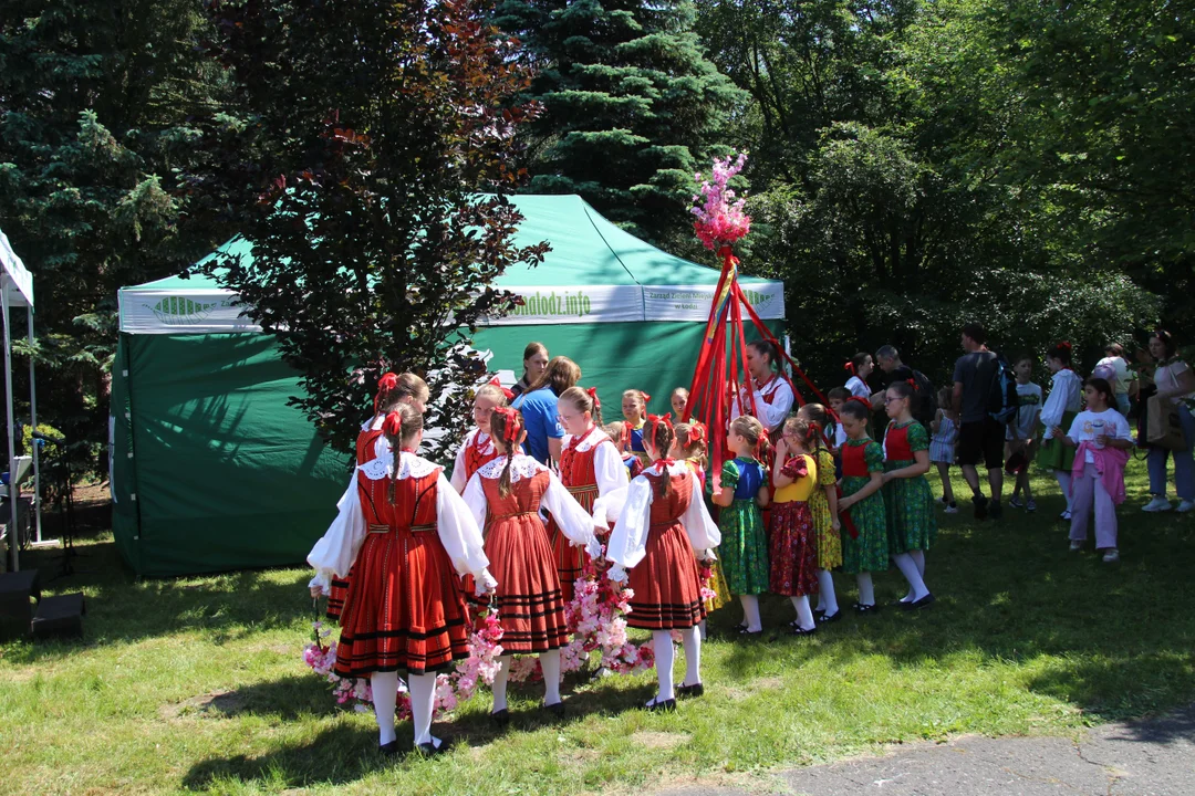 "Majówka w ogrodzie" - Ogród Botaniczny w Łodzi zaprasza na piknik rodzinny