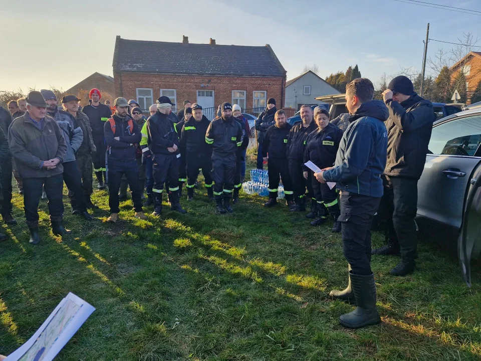 poszukiwania dzików Piotrków