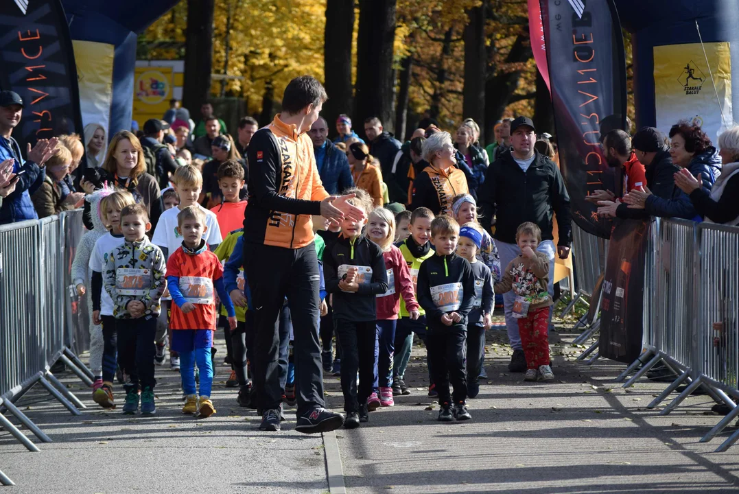 Jesienny Festiwal Szakala