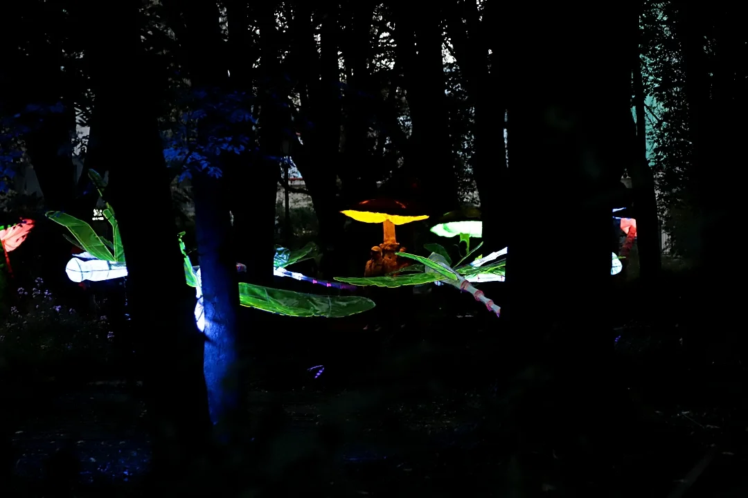 Light Move Festival 2025 – muzyczny drugi dzień