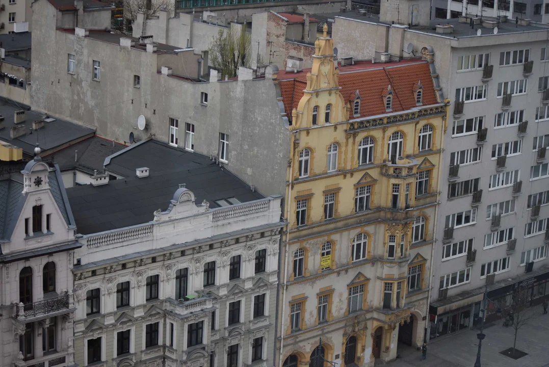 Panorama miasta widziana z wieżowca Red Tower