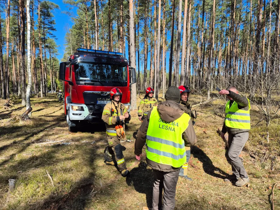 Pożary przy torach Czersk Chojnice. 8 kilometrów ognia i akcja z powietrza