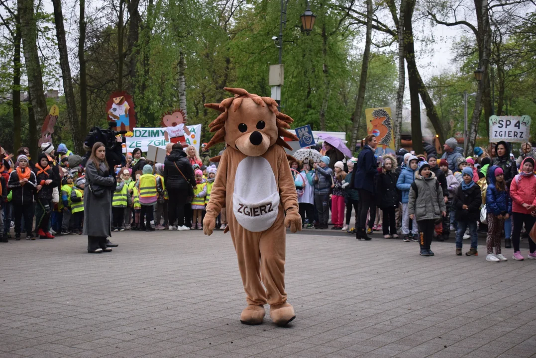 Parada jeży w Zgierzu