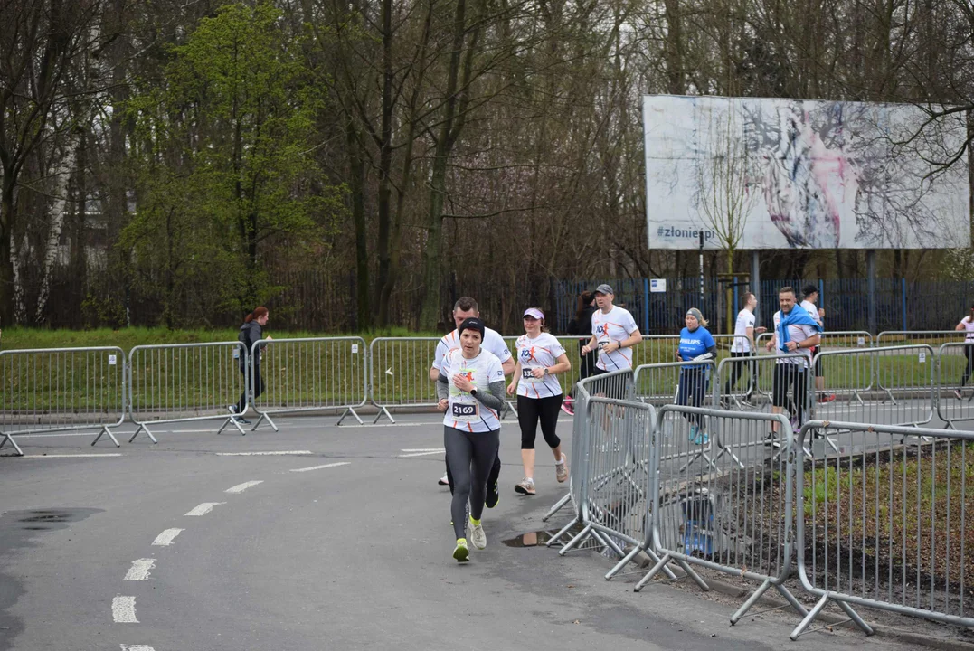 DOZ Maraton ulicami miasta. Zobacz zdjęcia z biegu głównego