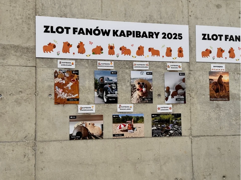 II Zlot Fanów Kapibary