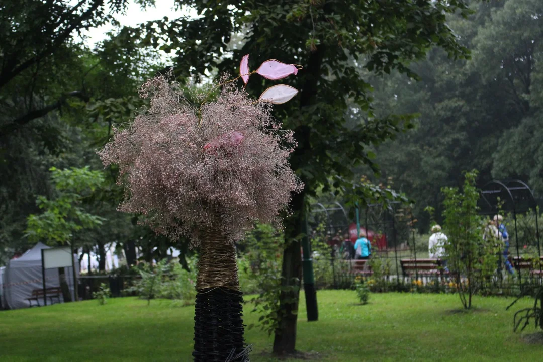 Trwa Święto Róży. Sporo osób odwiedza park Traugutta