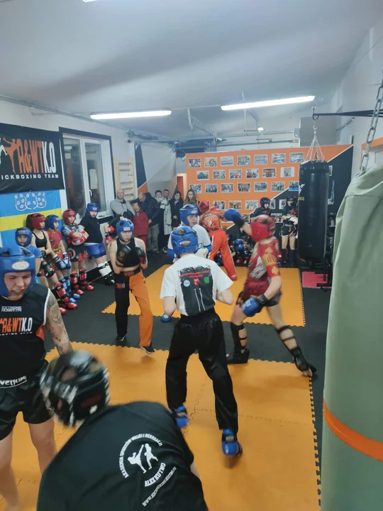 Wojewódzki turniej kickboxingu