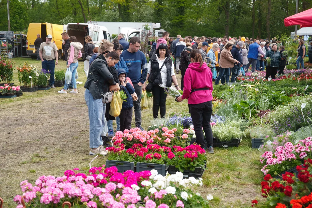 targi ogrodnicze Piotrków