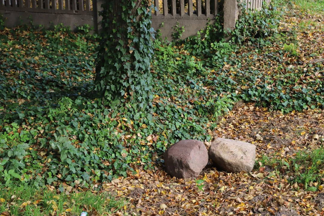 W centrum Kutna powstaje mały park rekreacyjn-wypoczynkowy