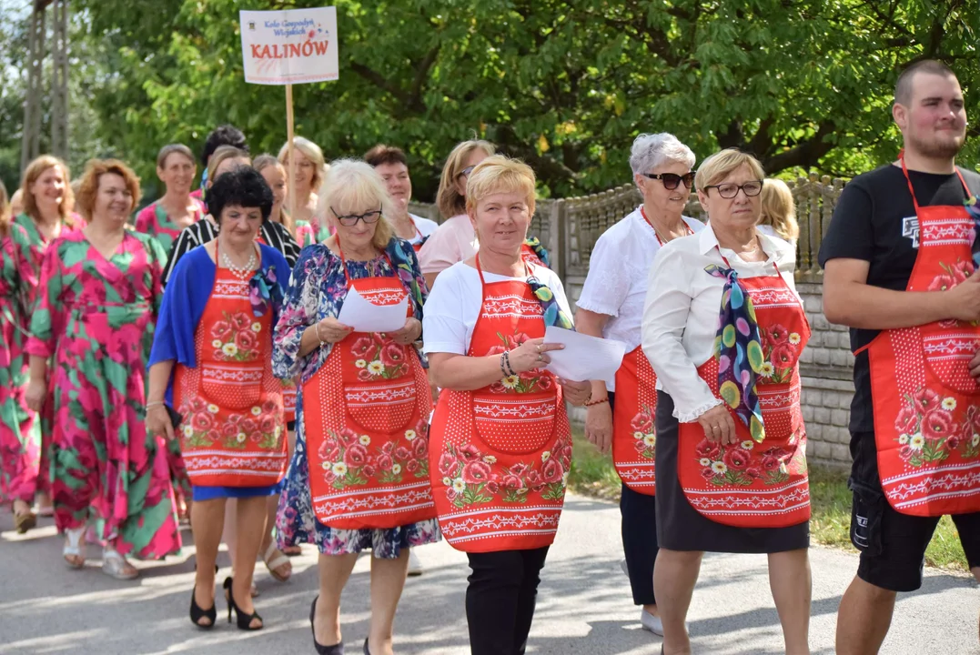 Rolnicy podziękowali za plony. Dożynki w Gminie Stryków. Zobacz, jak prezentowały się korowody [GALERIA] - Zdjęcie główne