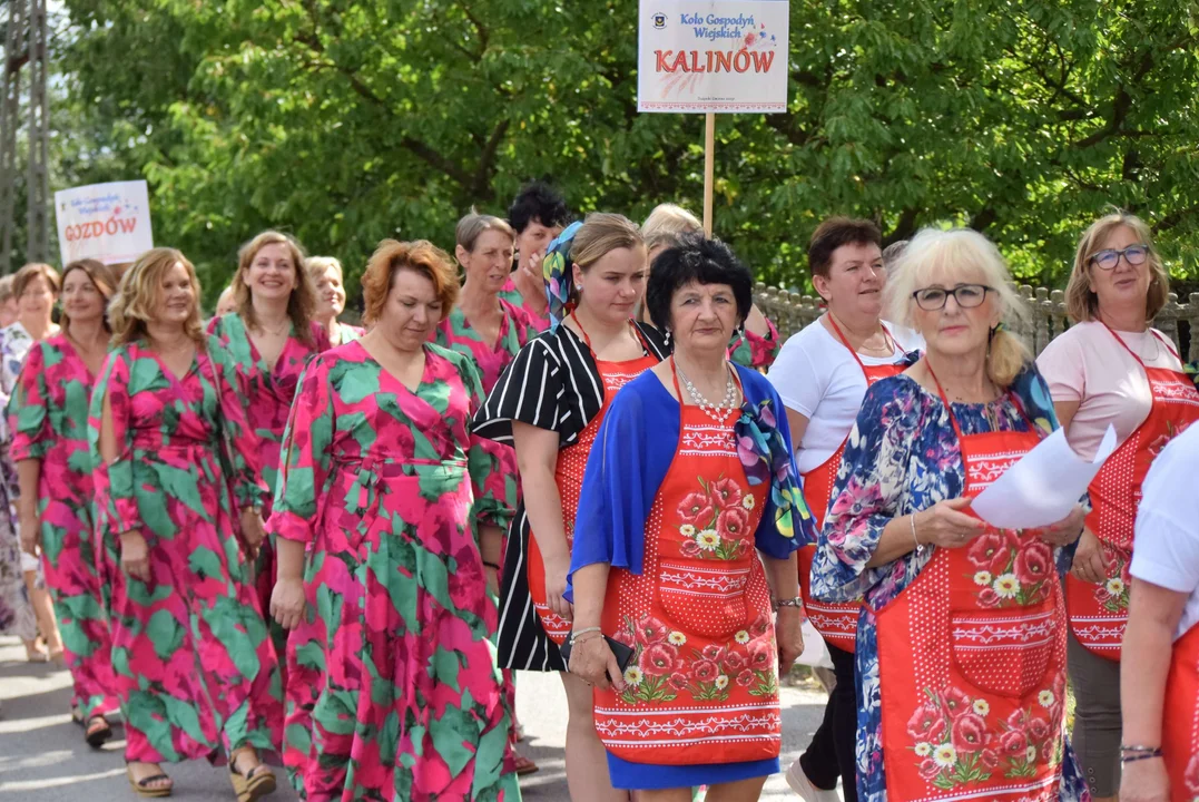 Dożynki gminy Stryków w Warszewicach