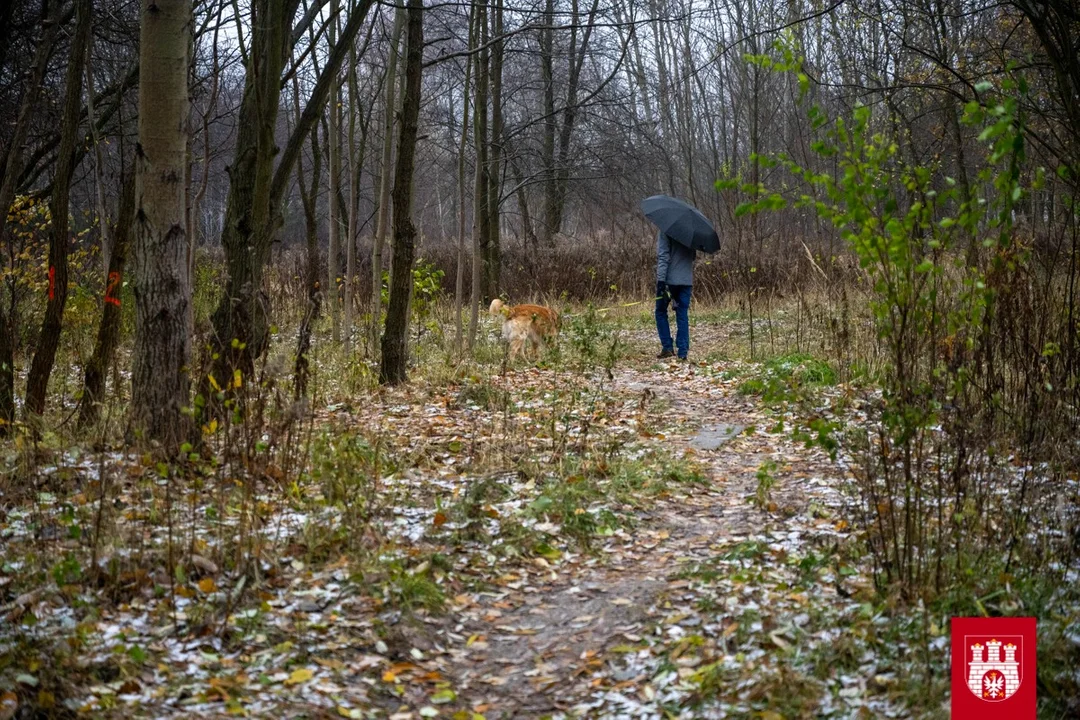 Nowy park w Zgierzu