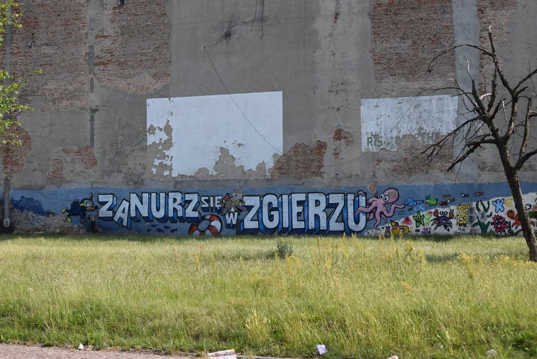 Zgierskie murale