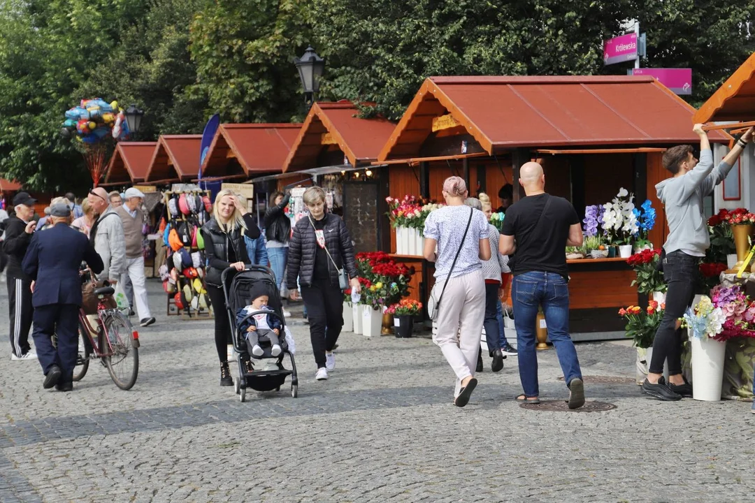 W centrum Kutna ruszył Jarmark Różany