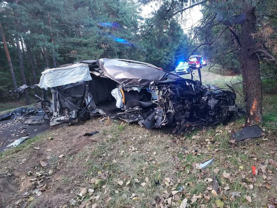 20-letni kierowca rozbił się na drzewie. Śmiertelny wypadek w sąsiednim powiecie [zdjęcia] - Zdjęcie główne