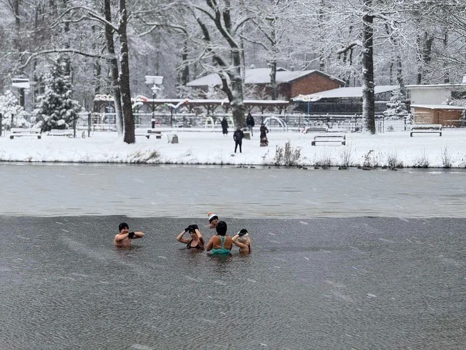 Morsy – Arturówek, Łódź 12.01.2025 r.