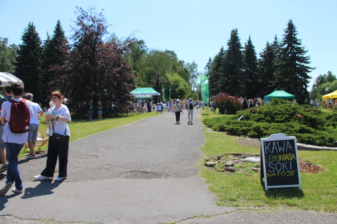 "Majówka w ogrodzie" - Ogród Botaniczny w Łodzi zaprasza na piknik rodzinny