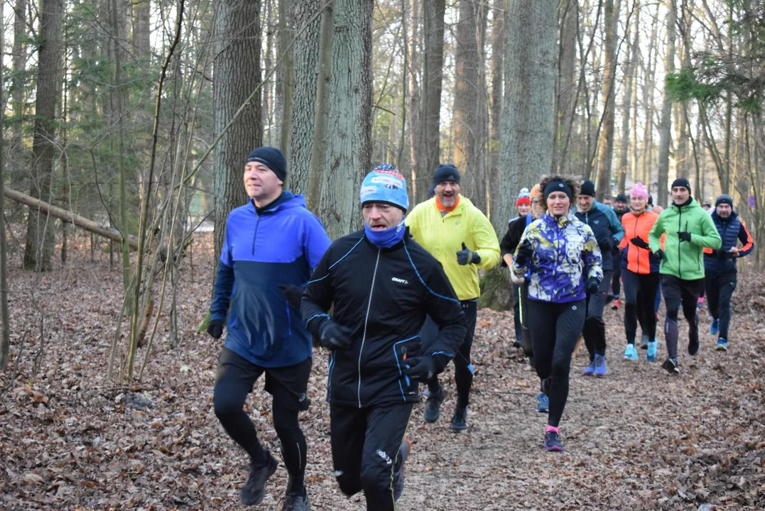 Parkrun w Lesie Łagiewnickim