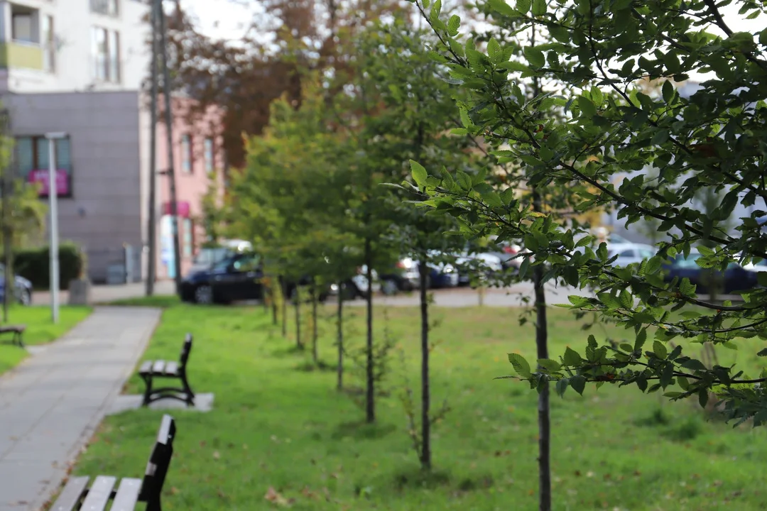 W centrum Kutna powstaje mały park rekreacyjn-wypoczynkowy