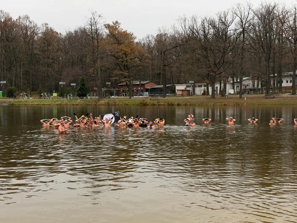 Morsy w Arturówku — Łódź, 24.11.2024 r.