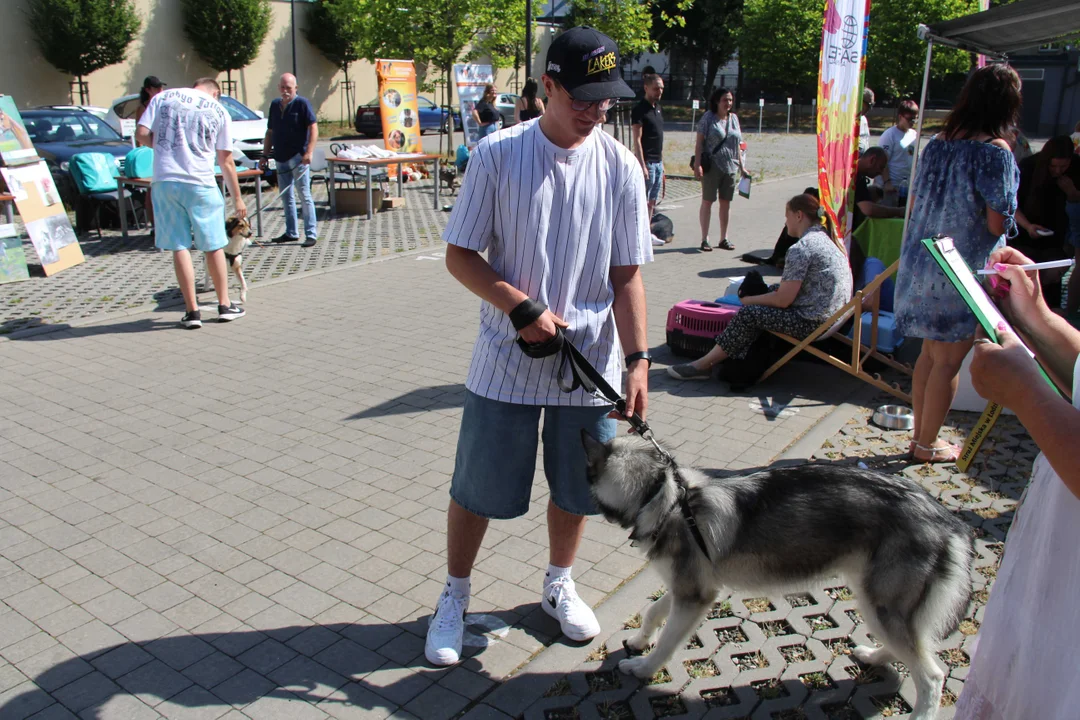 Animal Patrol świętuje swoje 8. urodziny