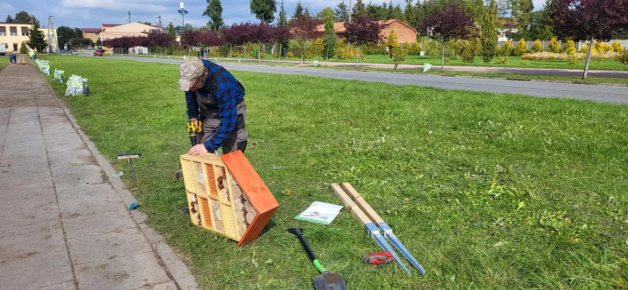 W Krośniewicach pojawiły się... hotele dla owadów. To część dużego projektu [ZDJĘCIA] - Zdjęcie główne