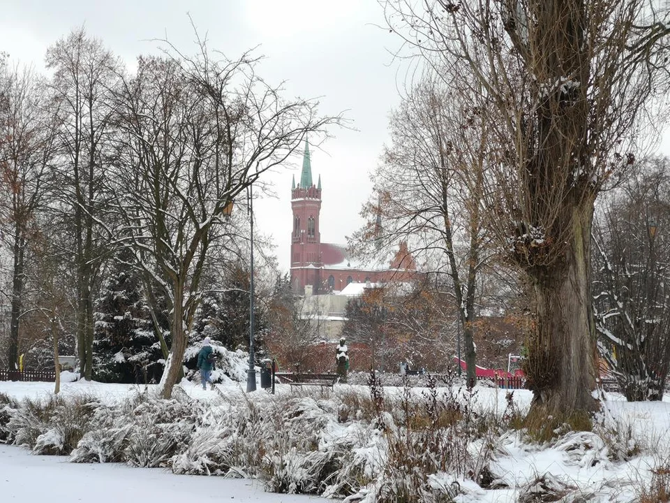 Zima zagościła w Parku Miejskim