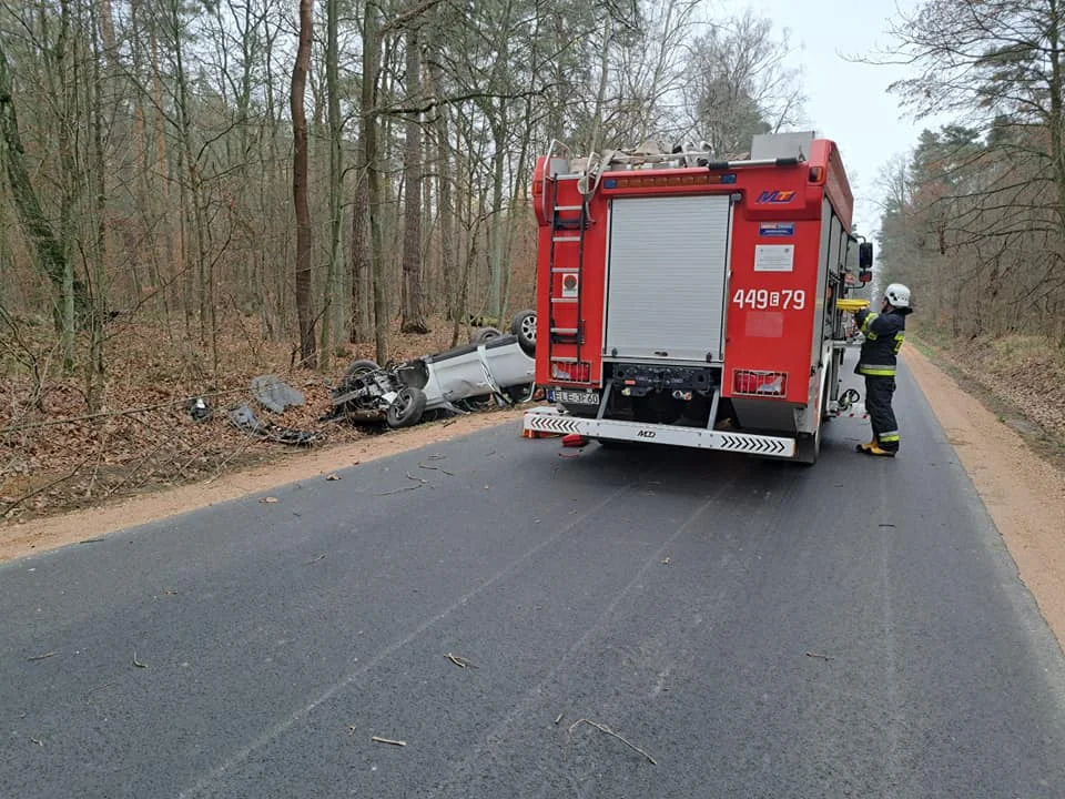 Sarna wybiegła na drogę, samochód dachował