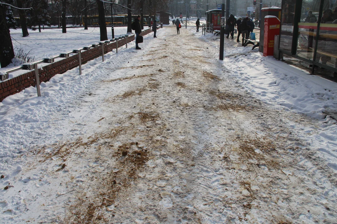 Przystanek Piotrkowska - plac Niepodległości w Łodzi i pętla autobusowa