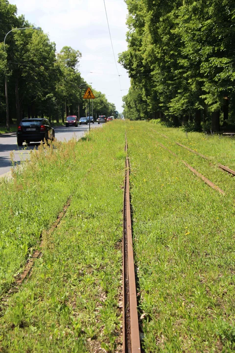 Nieczynne przystanki tramwajowe przy Konstantynowskiej