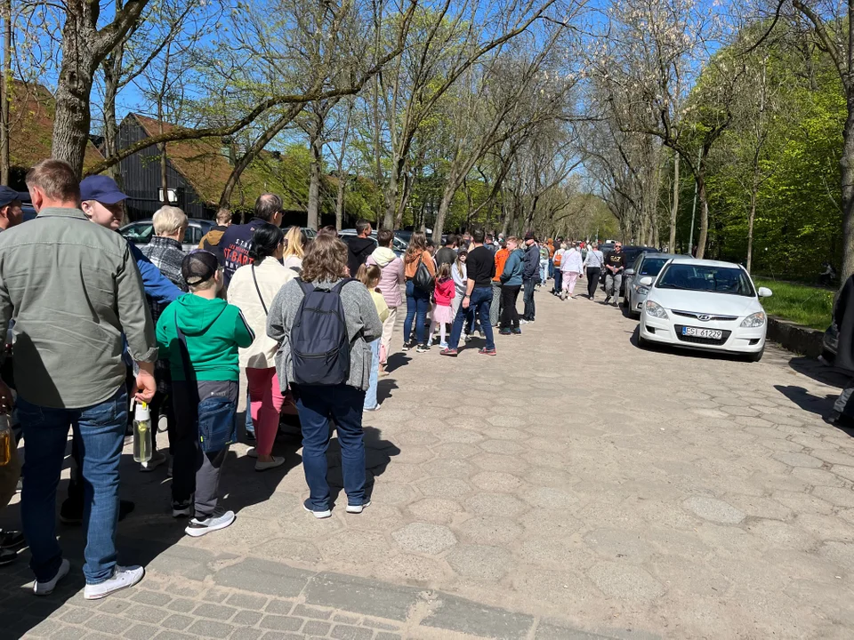 Kolejka w majówkę do Orientarium ZOO Łódź