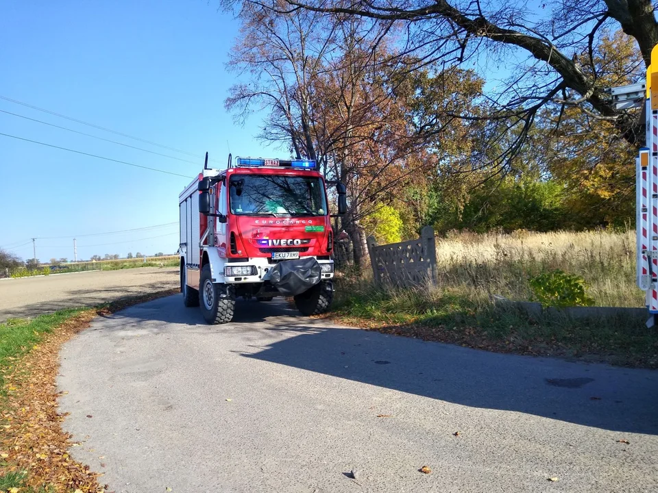 Tragiczny wypadek pod Kutnem. Pociąg potrącił pieszego