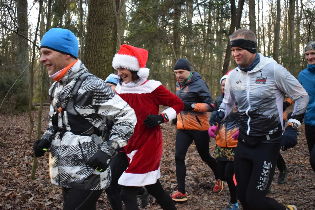 Parkrun w Lesie Łagiewnickim