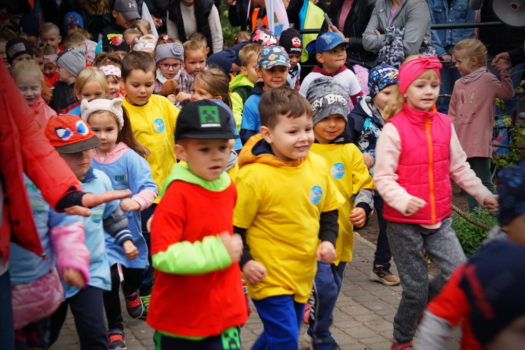 Do biegu, gotowi, start! Przedszkolaki opanowały park Traugutta [ZDJĘCIA] - Zdjęcie główne